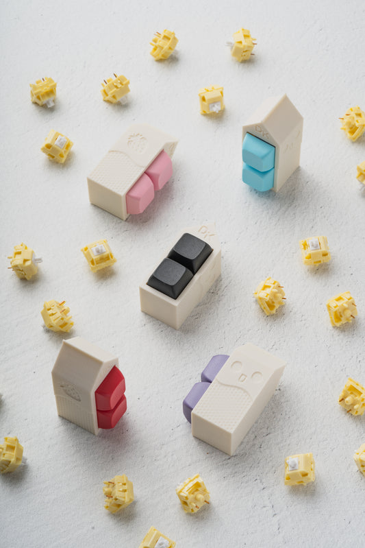 DK Carton Fidget Toy