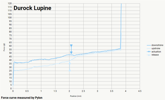 Durock Lupine