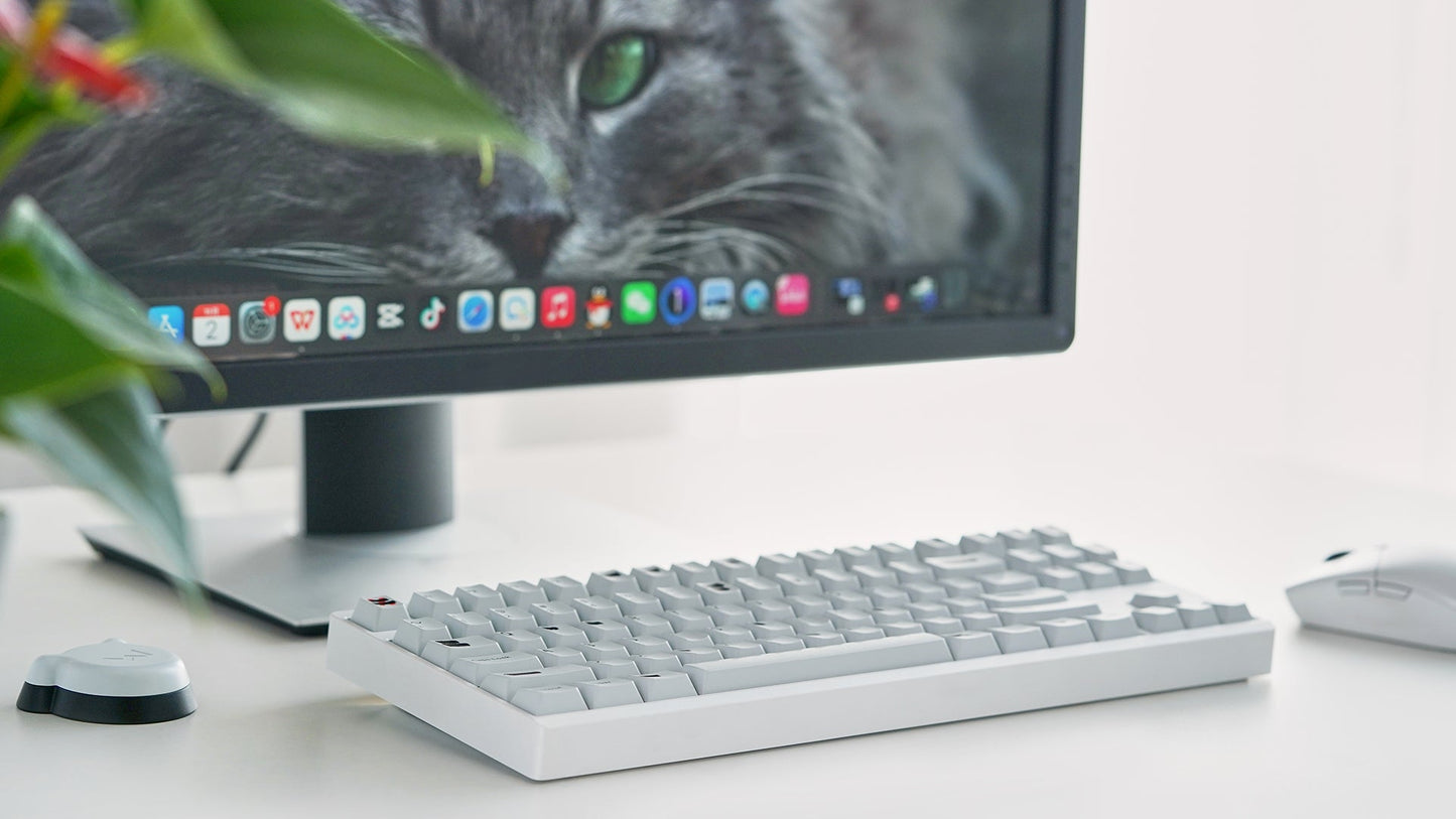 Meletrix Zoom TKL EE - Barebones Keyboard Kit R3